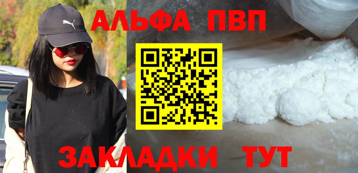 Альфа ПВП СК Курчалой