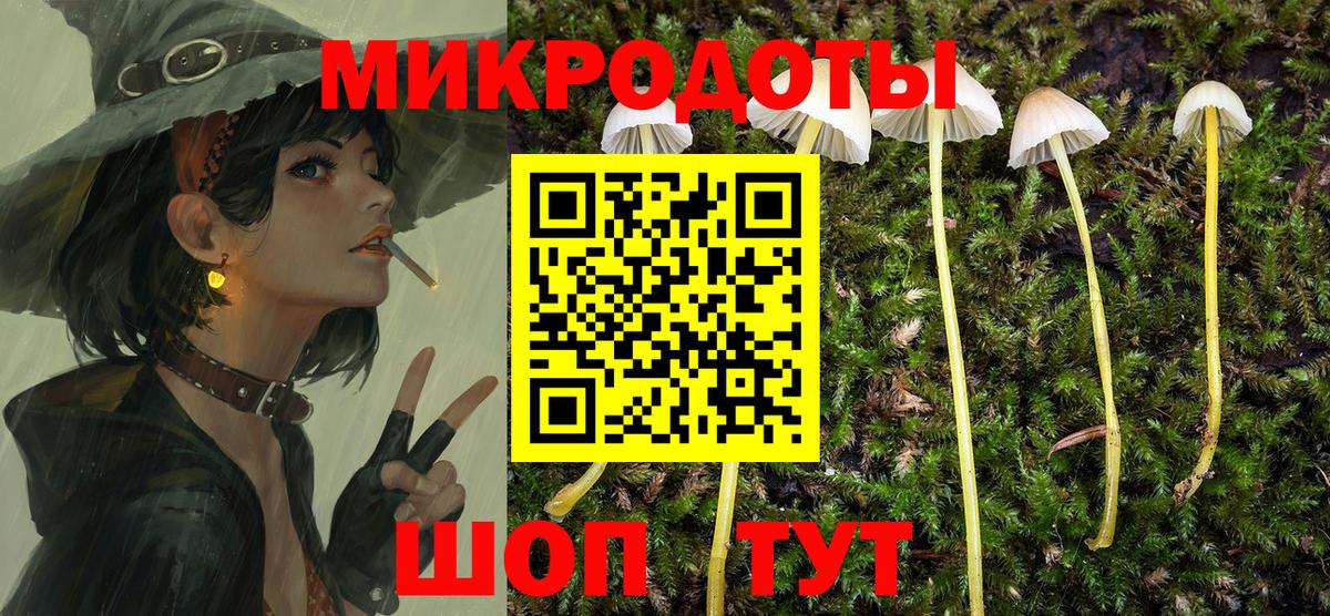 Псилоцибиновые грибы ЛСД  наркошоп  Курчалой  Галлюциногенные грибы Magic Shrooms  Вход с VPN 