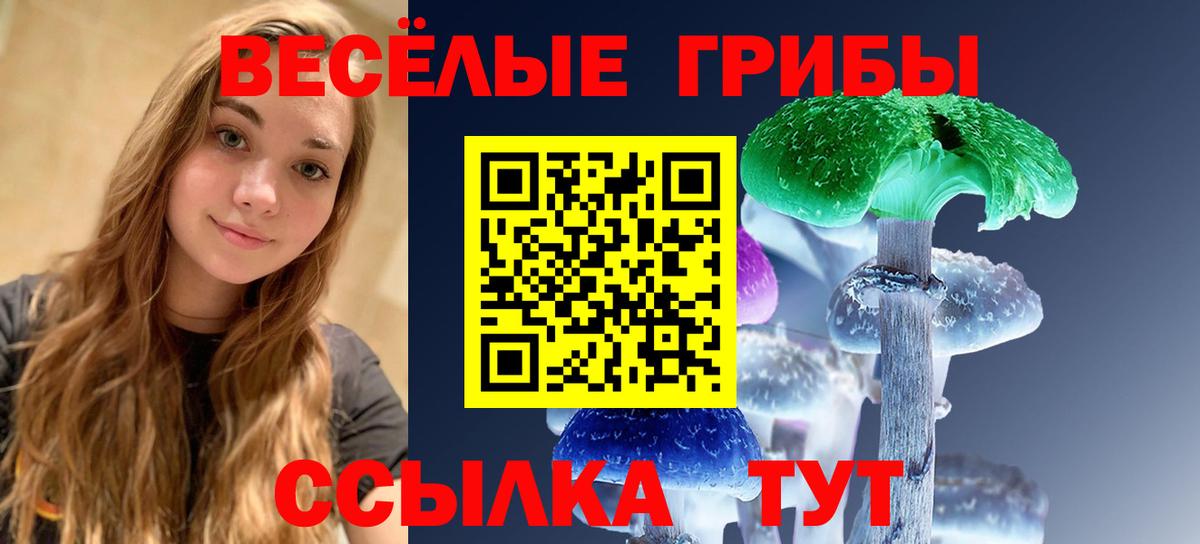 Галлюциногенные грибы GOLDEN TEACHER Курчалой